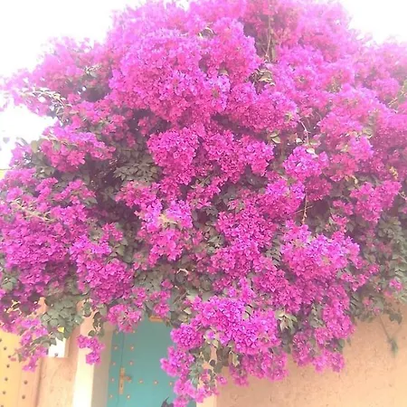 Riad Zidania Taroudant Exterior photo
